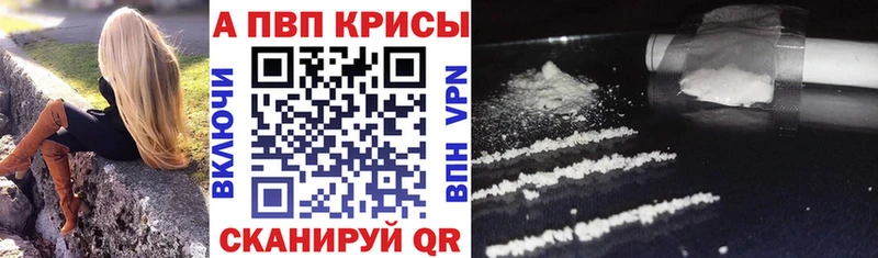 Купить наркоту Суздаль КОКАИН Псилоцибиновые грибы ГАШ Бошки Шишки Меф
