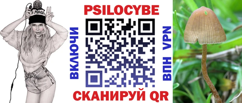 Галлюциногенные грибы ЛСД  Суздаль 